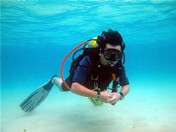 Ocean Xplorer! Taken With Canon S80! by Ed Eng 